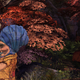Illustration for article titled The new iKing’s Quest/i has its charms, but it begs, borrows, and steals most of them